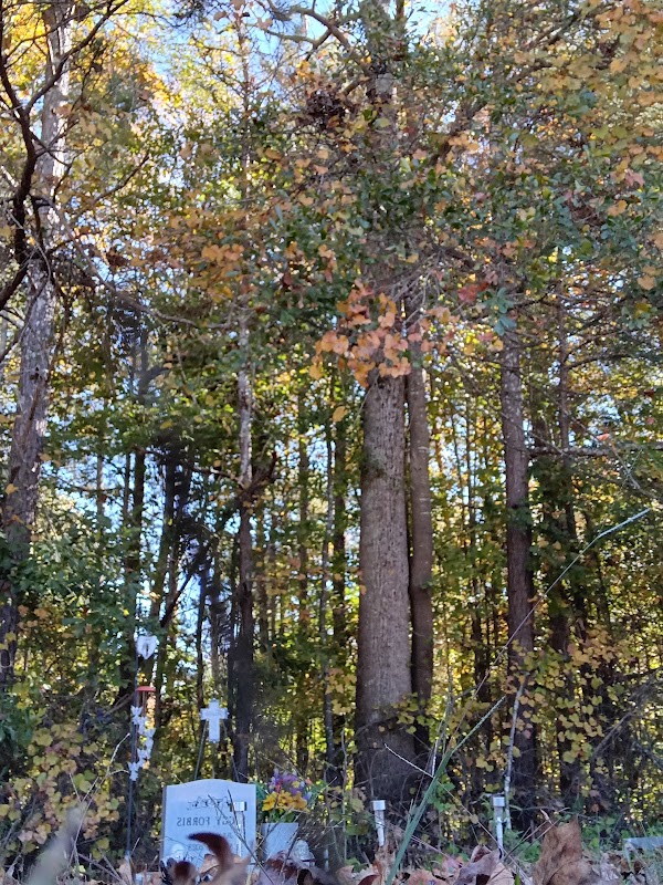 New Hope Cemetery grounds