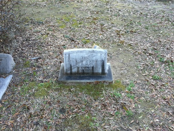 New Live Oak Cemetery grounds