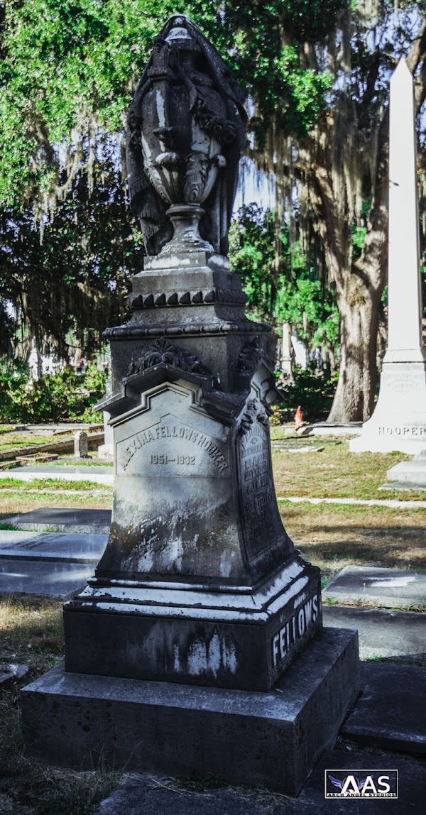 New Live Oak Cemetery grounds
