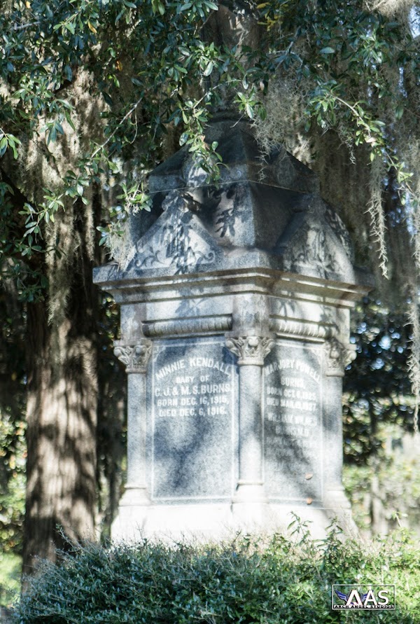 New Live Oak Cemetery grounds