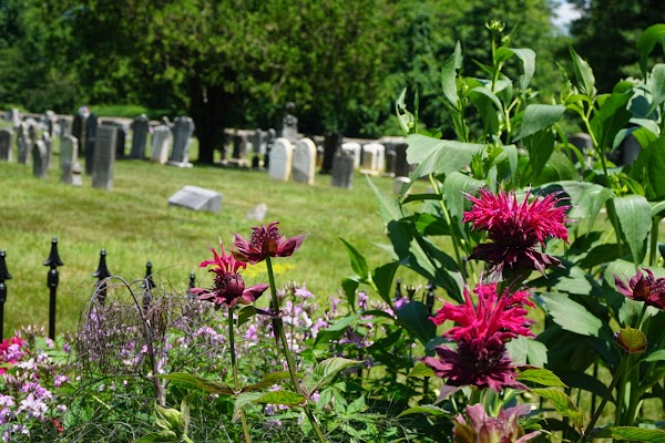 Newark Union Church & Cemetery grounds