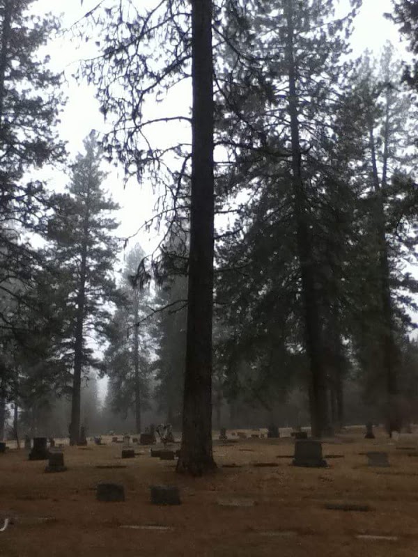 Newport Cemetery grounds
