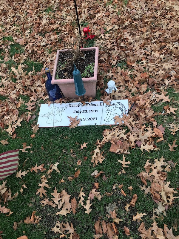 Newport Memorial Park grounds