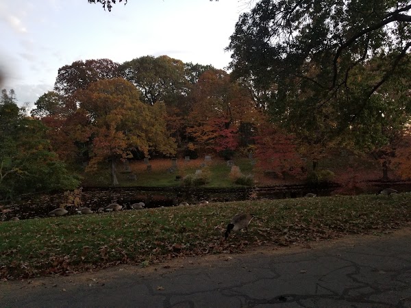 Newton Cemetery & Arboretum grounds