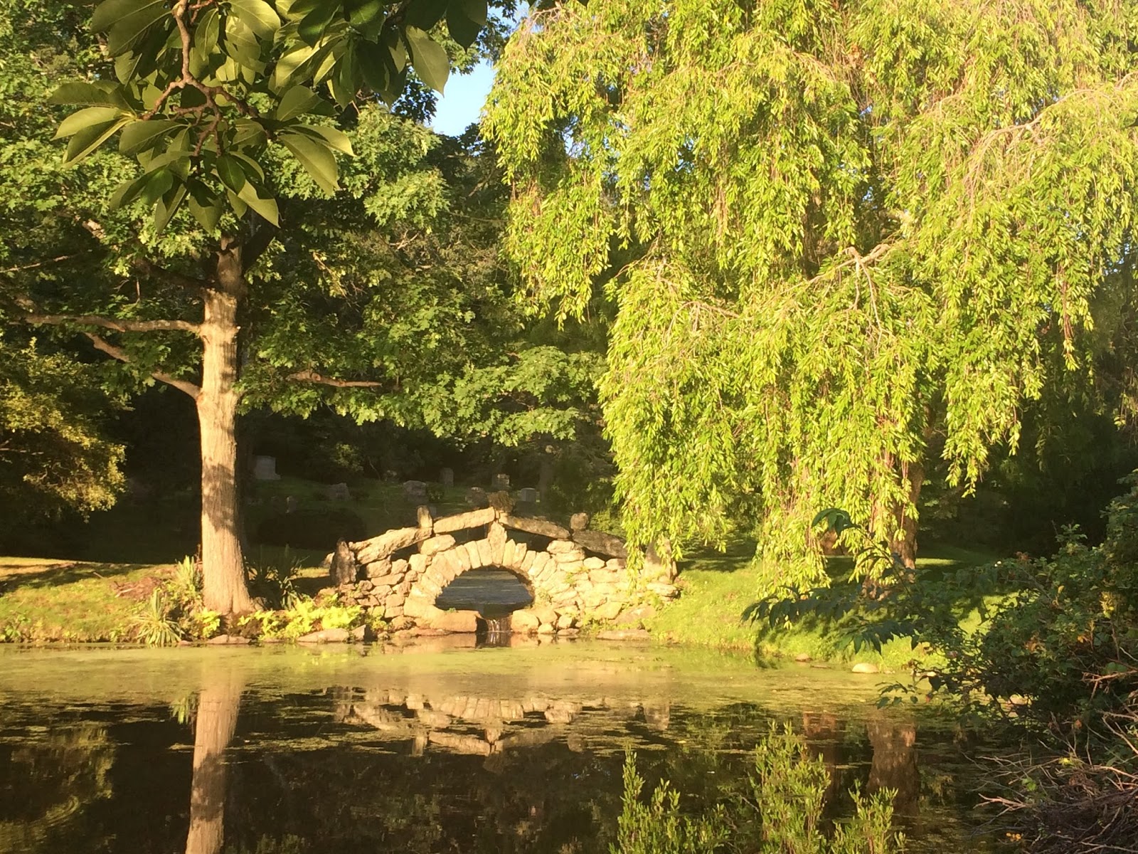 Newton Cemetery & Arboretum cemetery grounds and headstones