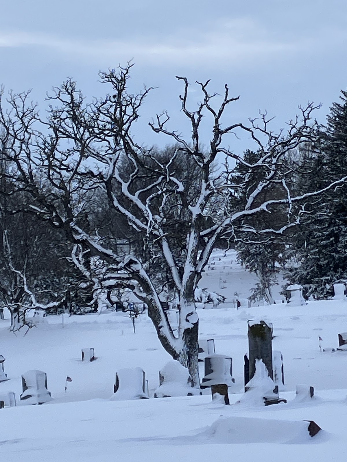 Newton Union Cemetery cemetery grounds and headstones