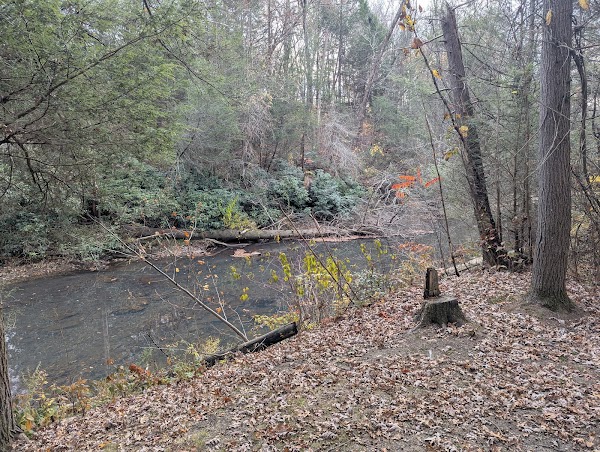 Nicholas County Veterans Memorial Park grounds