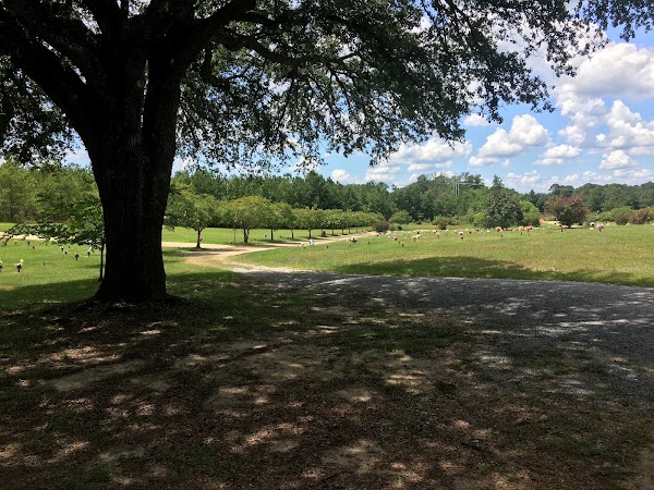 Nora Davis Cemetery grounds