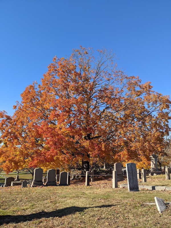 North Burial Ground grounds