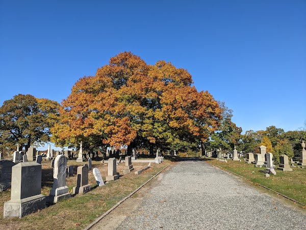 North Burial Ground grounds
