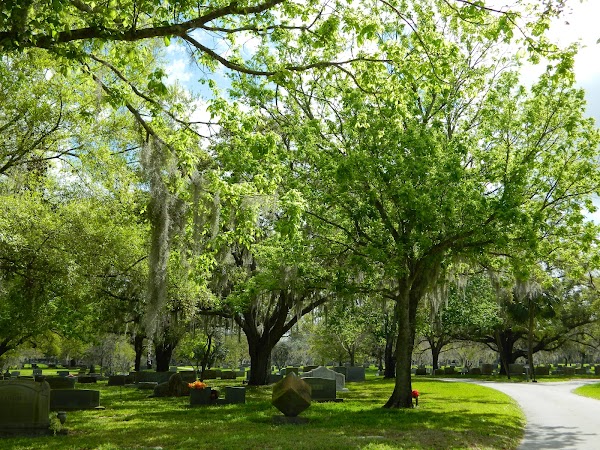 Oak Hill Burial Park grounds