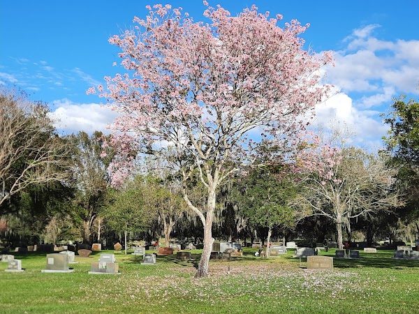 Oak Hill Burial Park grounds