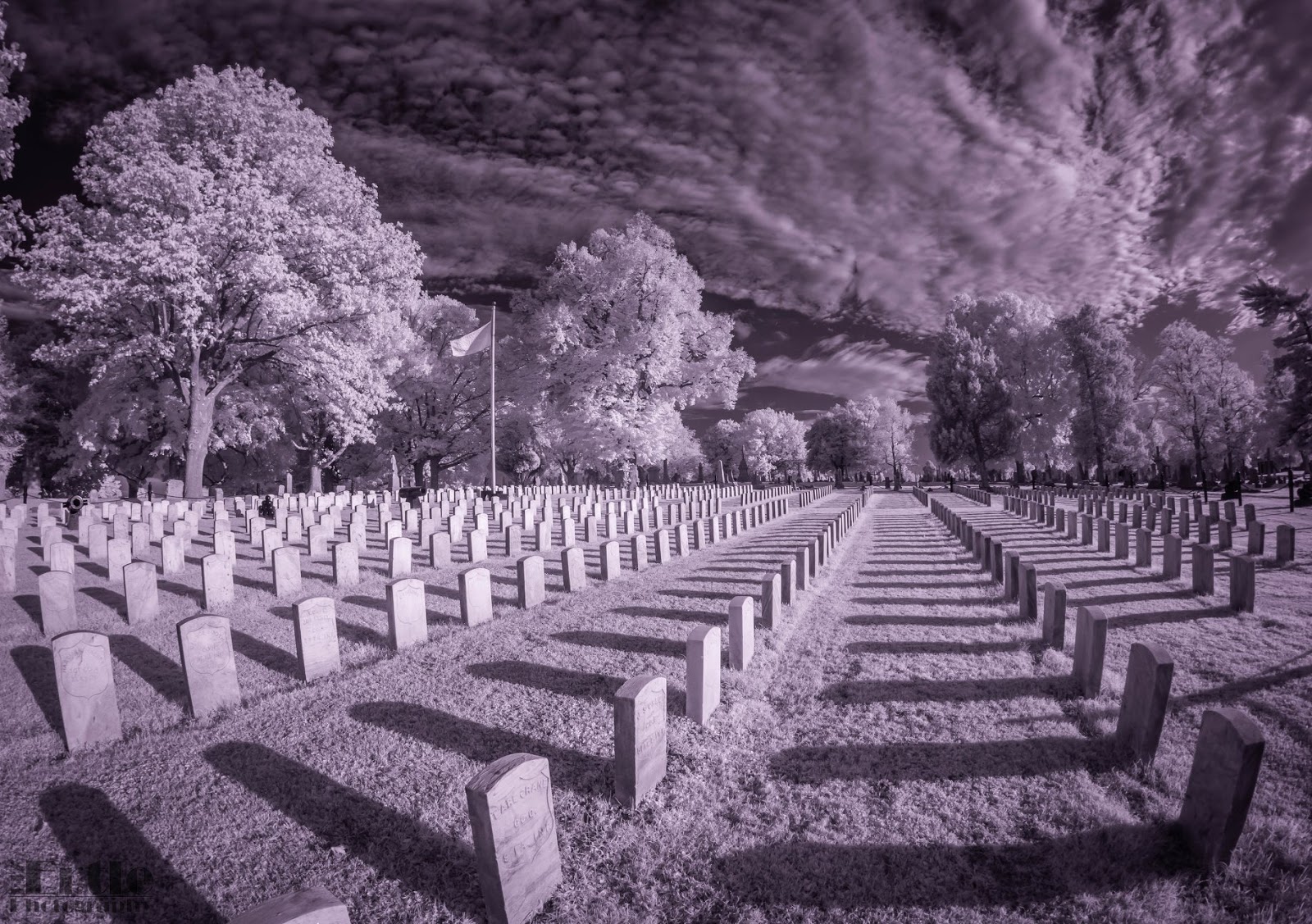 Oak Hill Cemetery and Arboretum cemetery grounds and headstones