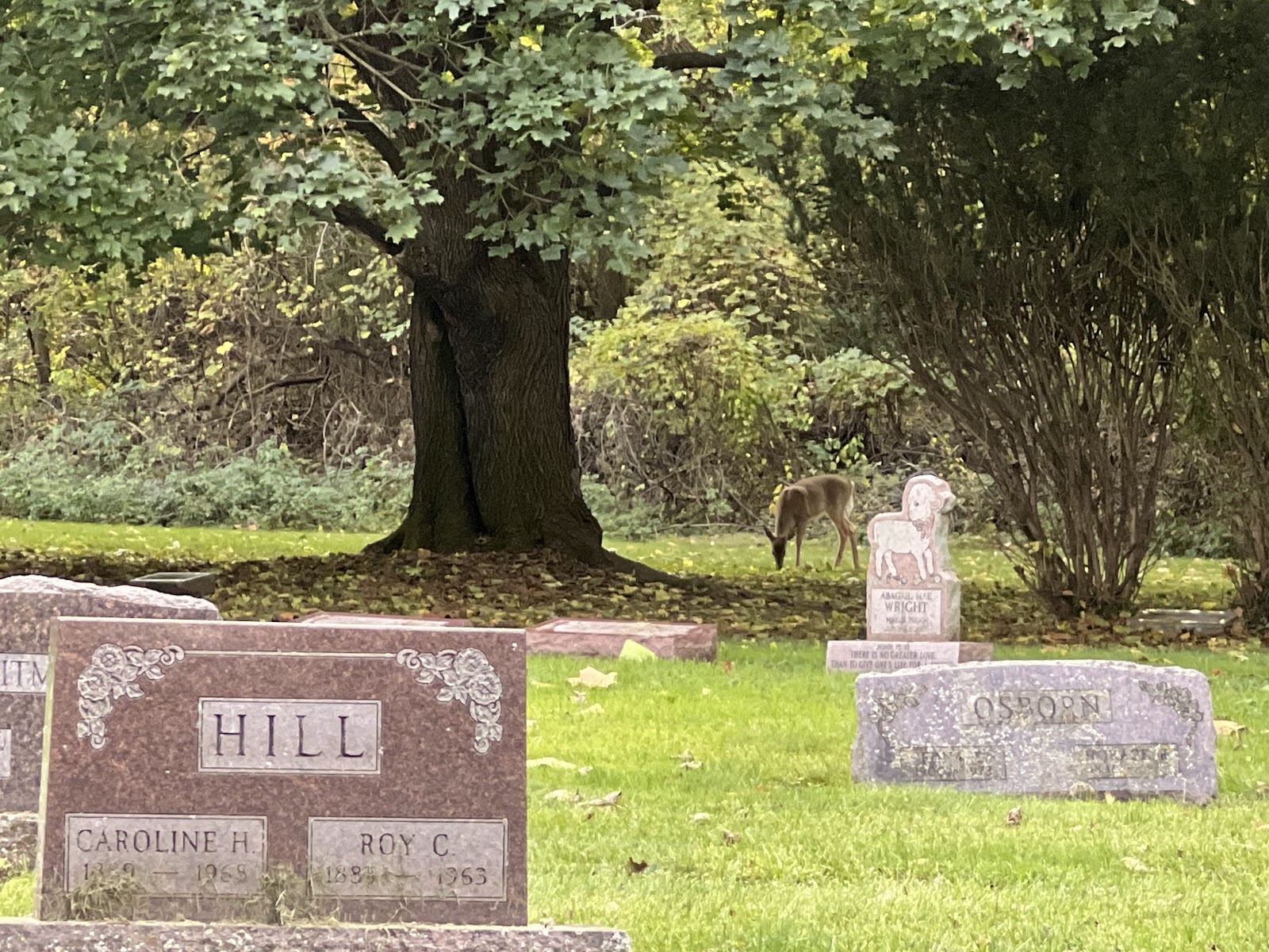 Oak Hill Cemetery