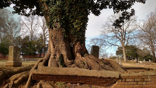 Oak Hill Cemetery grounds