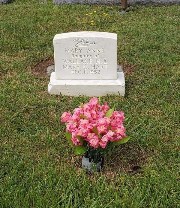 Oak Hill Cemetery grounds