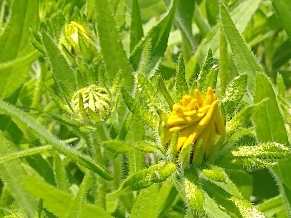 Oak Hill Cemetery grounds