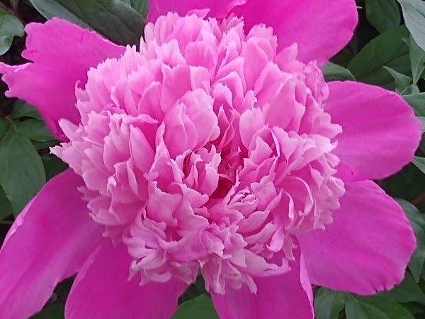 Oak Hill Cemetery grounds