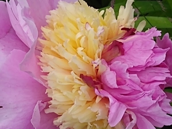 Oak Hill Cemetery grounds