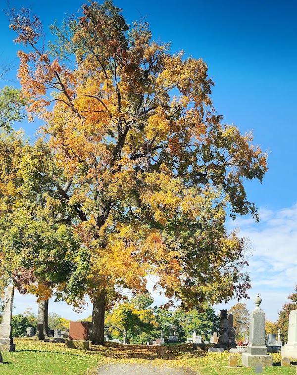 Oak Hill Cemetery grounds