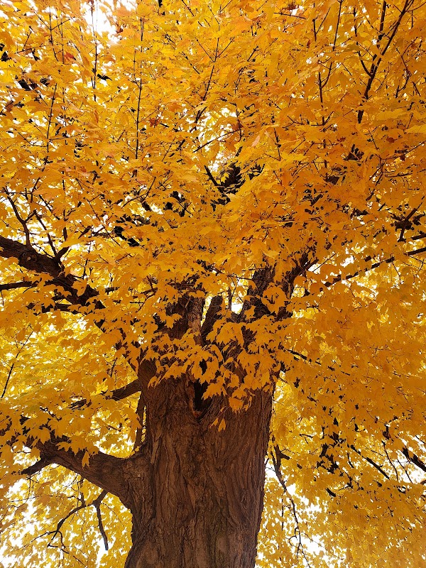 Oak Hill Cemetery grounds