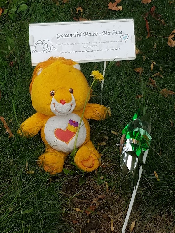 Oak Lawn Cemetery grounds