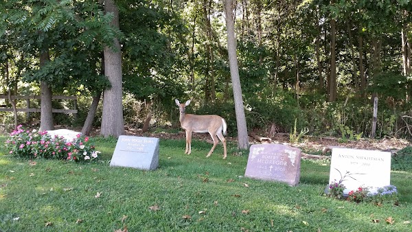 Oak Lawn Cemetery grounds