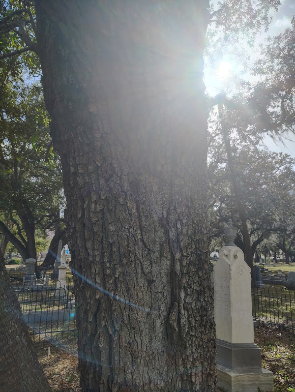 Oaklawn Cemetery grounds