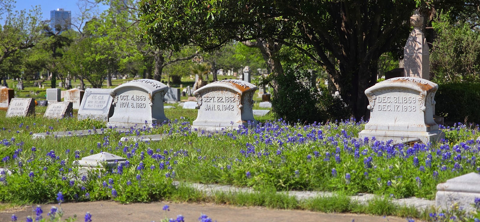 Oakwood Cemetery cemetery grounds and headstones