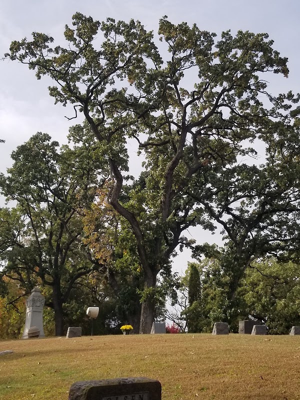 Oakwood Cemetery grounds