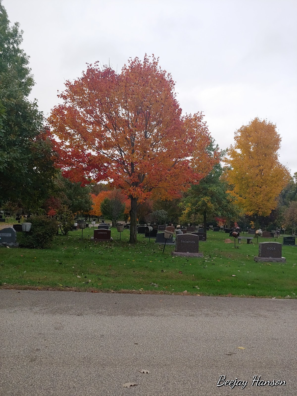 Oakwood Cemetery cemetery grounds and headstones