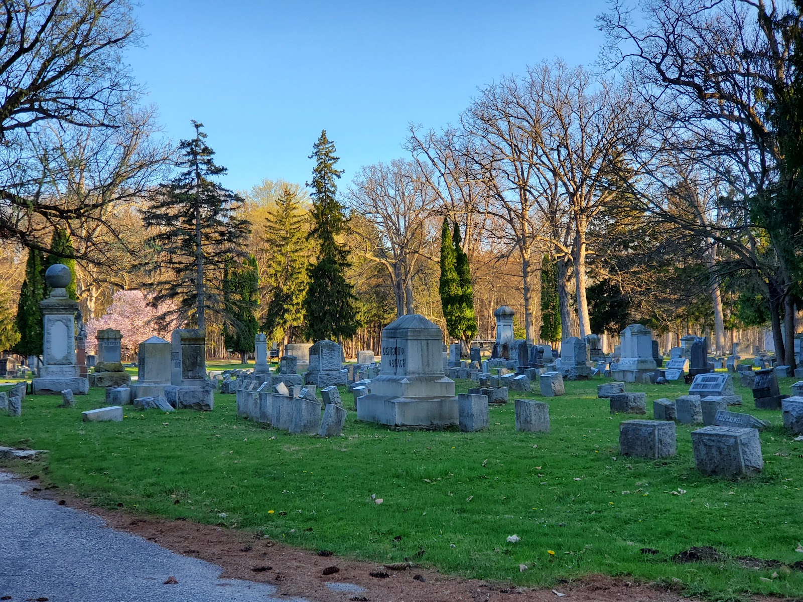 Oakwood Cemetery cemetery grounds and headstones