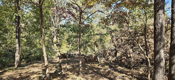 Oakwood Cemetery grounds