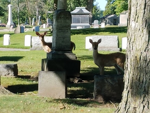 Oakwood Cemetery grounds