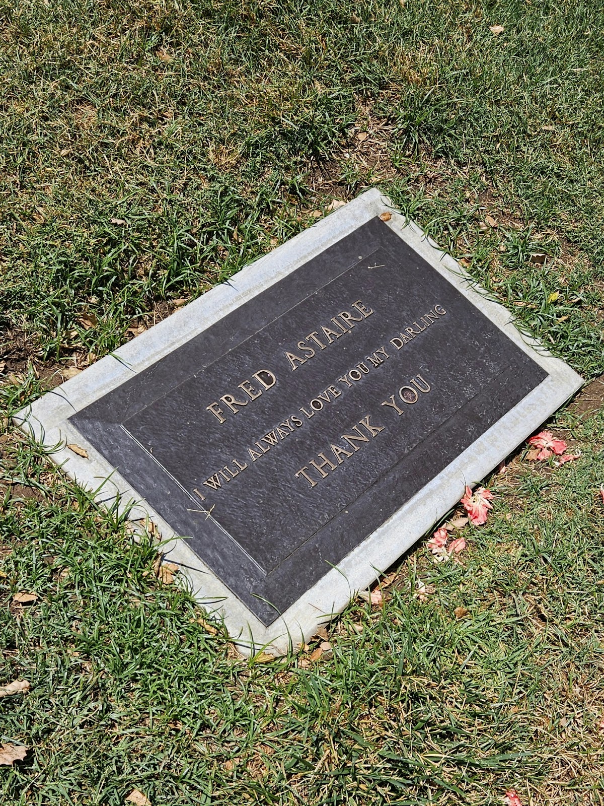 Oakwood Memorial Park and Cemetery cemetery grounds and headstones