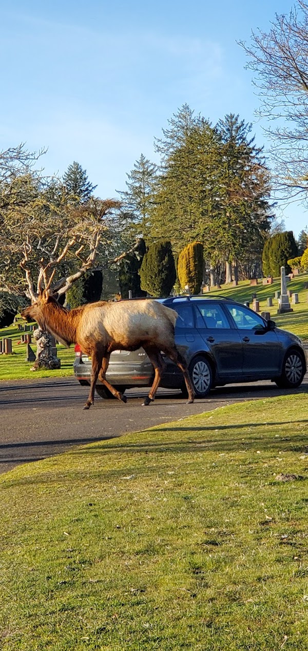 Ocean View Cemetery grounds