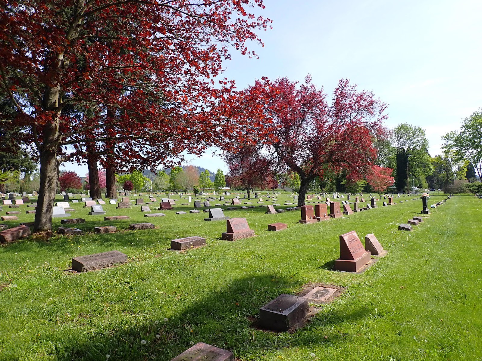 Odd Fellows Cemetery cemetery grounds and headstones
