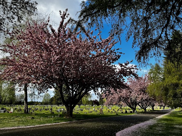 Odd Fellows Memorial Park grounds