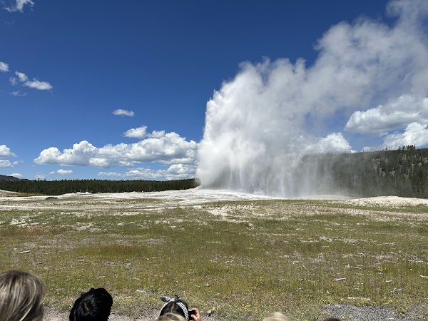 Old Faithful grounds