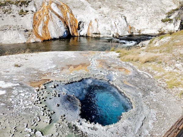Old Faithful grounds