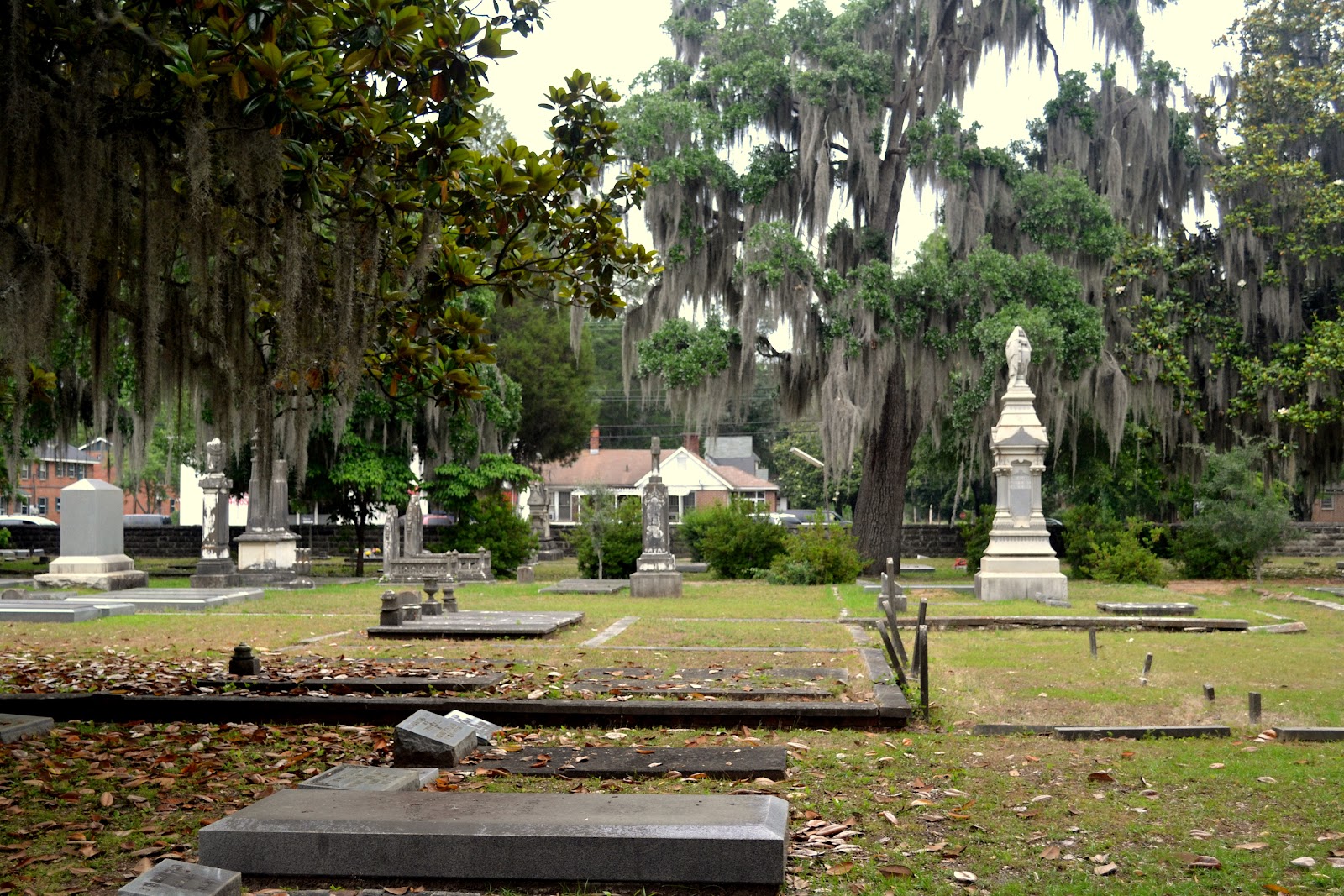 Old Live Oak Cemetery cemetery grounds and headstones