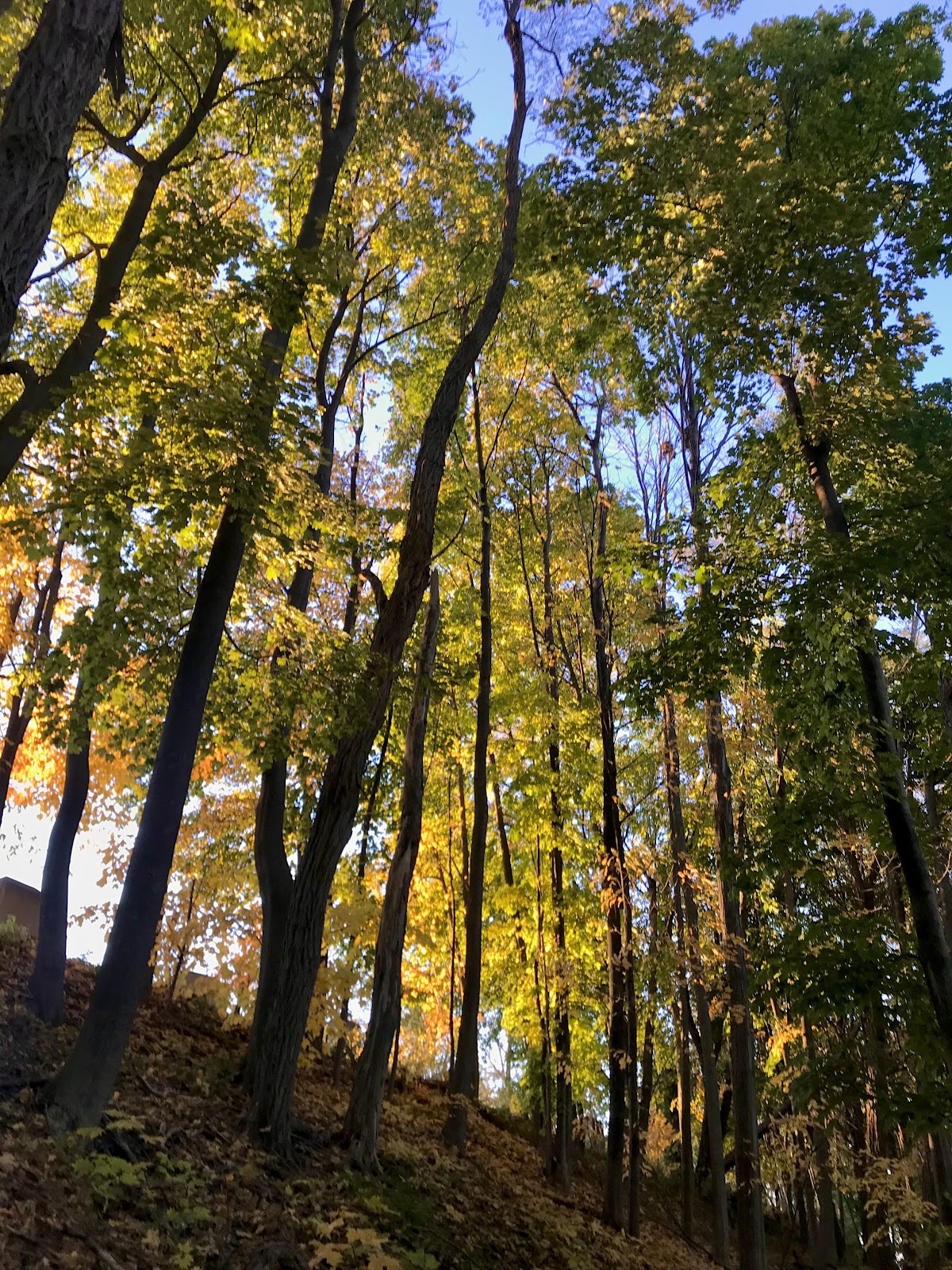 Old Mt Calvary Cemetery