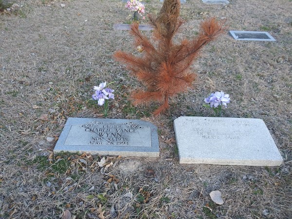 Old Southland Cemetery - Texas State Historical Marker grounds