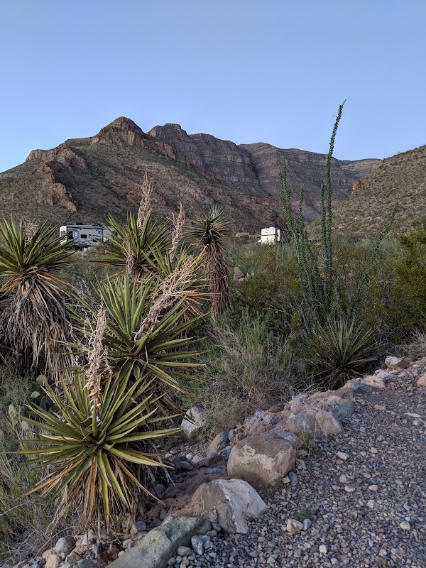 Oliver Lee Memorial State Park grounds