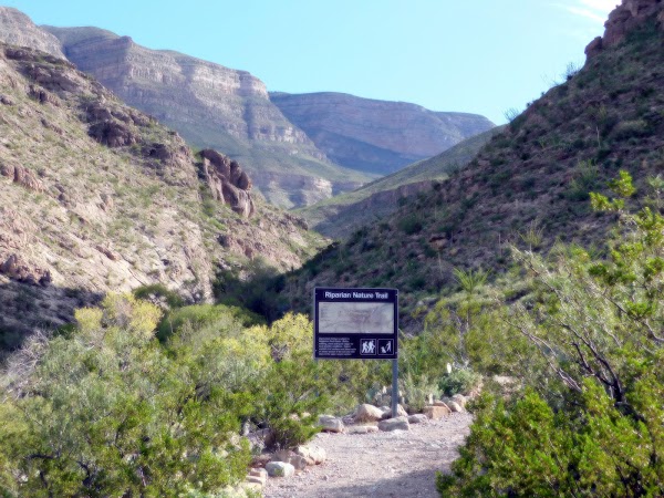 Oliver Lee Memorial State Park grounds