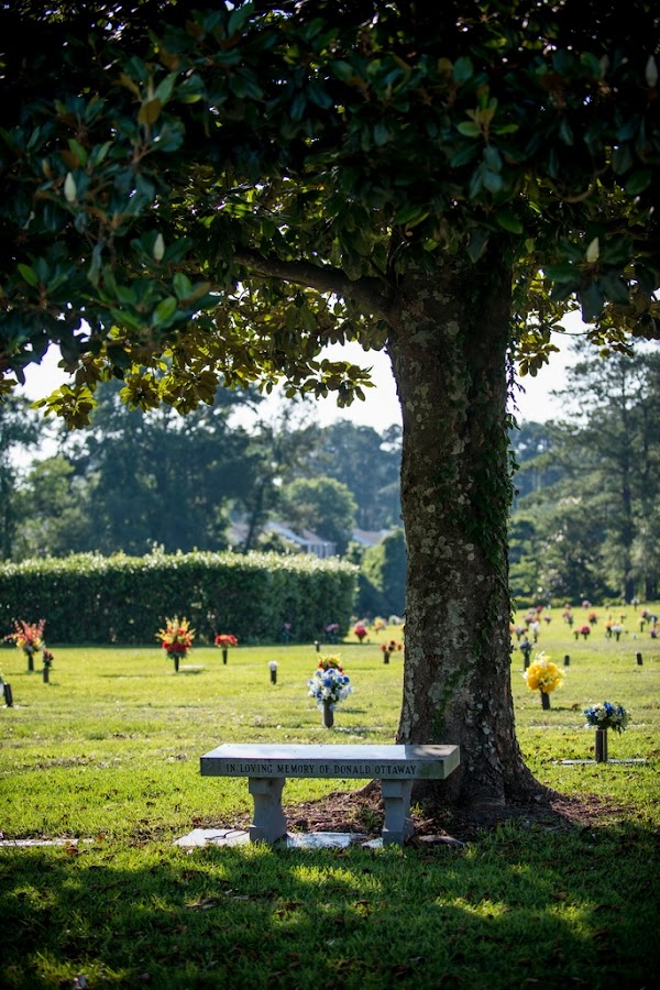 Onslow Memorial Park grounds