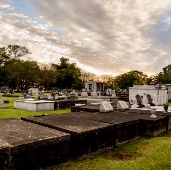 Orange Grove & Graceland grounds