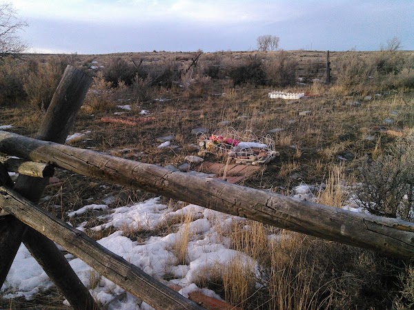 Oregon Trail Pet Cemetery grounds