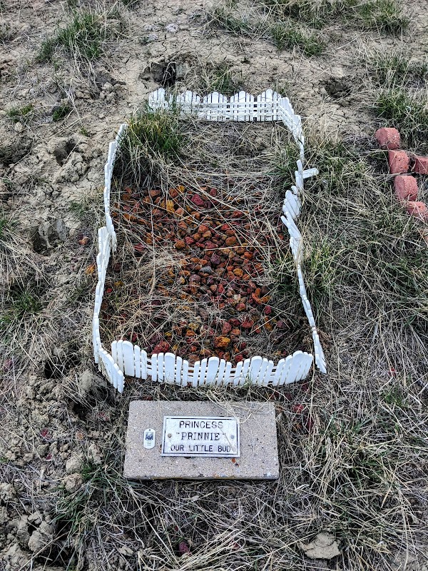Oregon Trail Pet Cemetery grounds