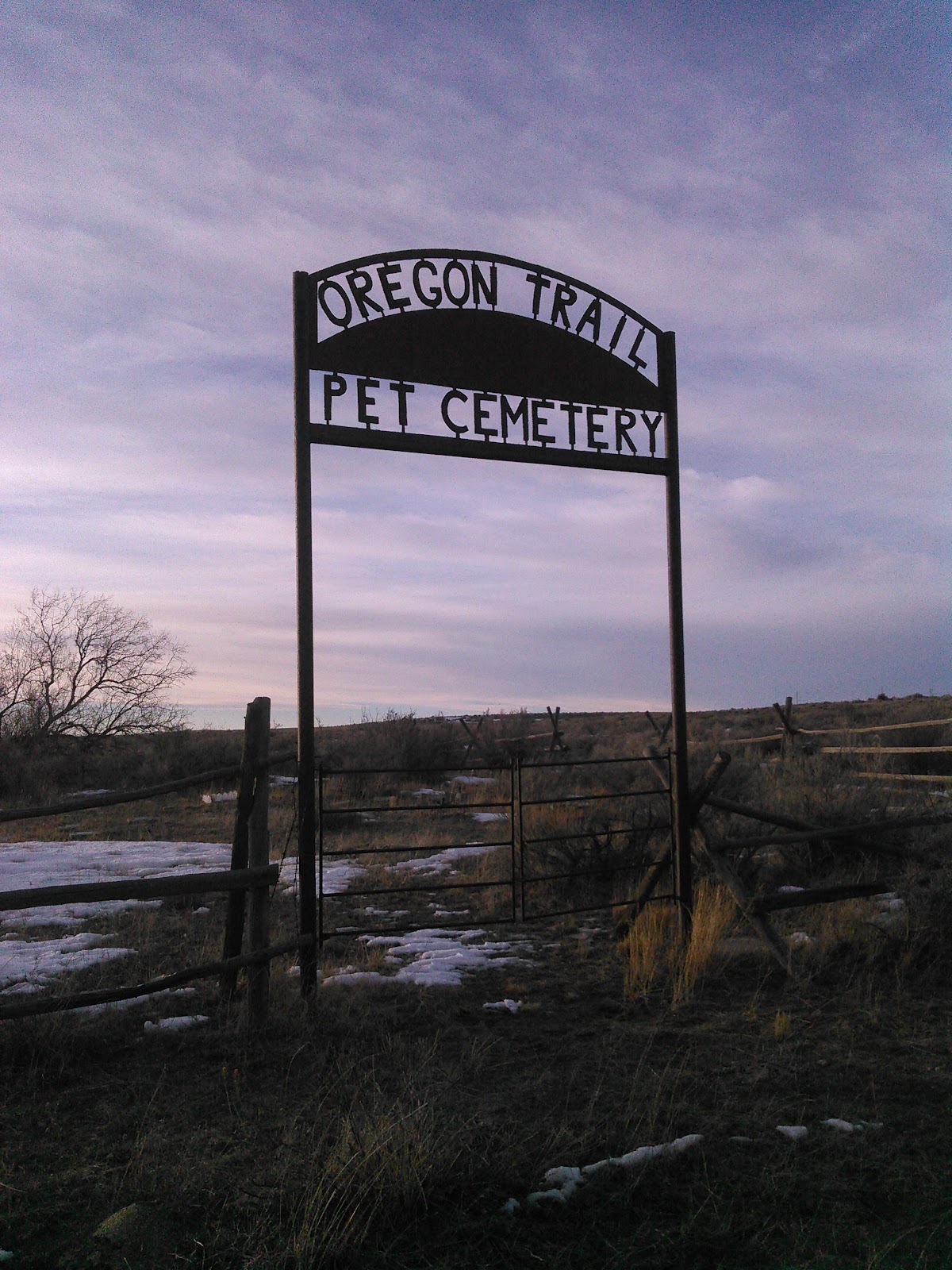 Oregon Trail Pet Cemetery cemetery grounds and headstones